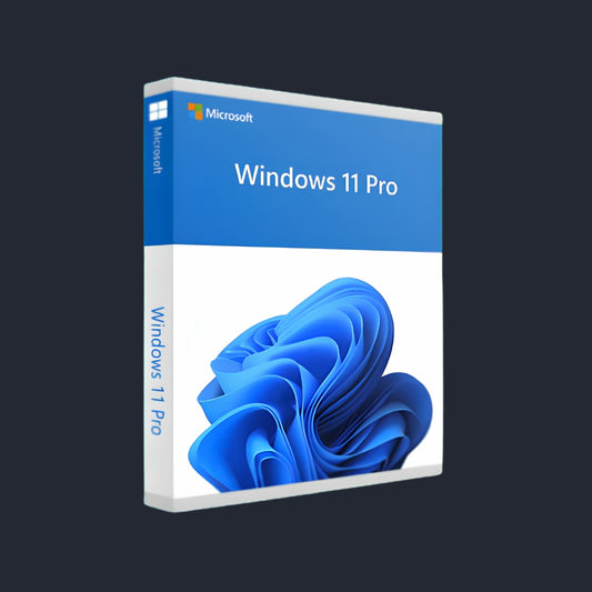 Microsoft Windows 11 Professional Multi Dispositivo - Attivazione Online